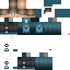 Texture for DIZER_WIN_228