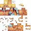 Texture for Apollo