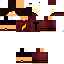 Texture for ds