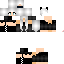 Texture for shajsj