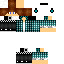 Texture for steve