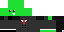 Texture for Turtle