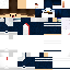 Texture for Pinguino