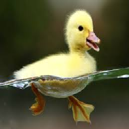 Texture for Duckling GUI