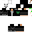 Texture for Misster