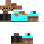 Texture for test steve