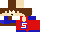 Texture for Snowdodger1 Creeper