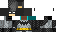 Texture for Batiman