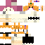 Texture for 兔子