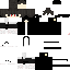 Texture for niko