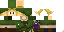Texture for Link