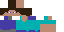 Texture for SteveColor