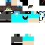 Texture for darkwing