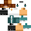 Texture for cgb