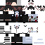 Texture for ds