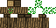 Texture for tree man