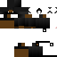 Texture for WIP