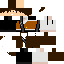 Texture for WIP