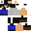 Texture for logan