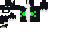 Texture for creeper cat