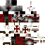 Texture for Templar