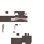 Texture for t
