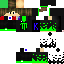 Texture for NICOLAS