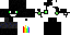 Texture for TEST WTF