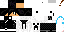 Texture for Swaggking23