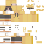 Texture for pato2