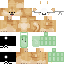 Texture for doge