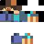 Texture for steve