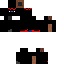 Texture for ninja