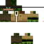 Texture for Turtule
