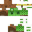 Texture for NewKapibaraKingb