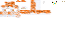 Texture for Cisco