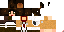 Texture for leai survey cops