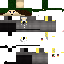Texture for gt