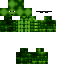 Texture for MLG-Turtle