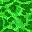 Texture for t 1 leaf