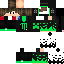 Texture for DS