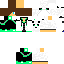 Texture for loganskin