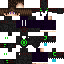 Texture for luis