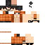 Texture for dEMO
