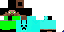Texture for seg