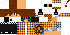 Texture for Laptyn