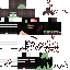 Texture for renachu