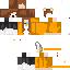 Texture for raposa_Cha