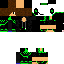 Texture for steve
