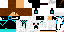 Texture for стив
